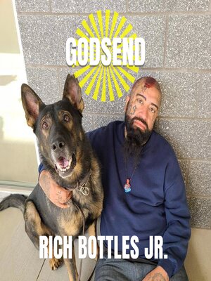 cover image of Godsend